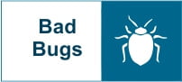 Bad bugs